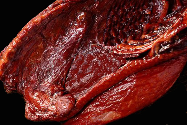 分光測色儀在醬鴨色澤測定與品質(zhì)管控中的應用