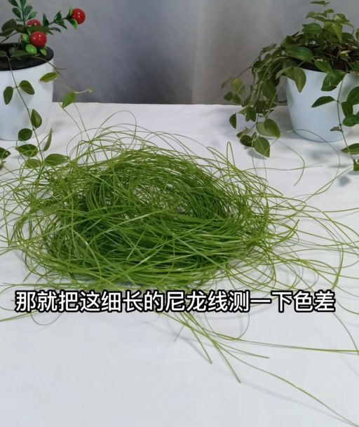 如何使用YS3020分光測色儀測量尼龍線的色值