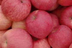 色差儀檢驗(yàn)蘋(píng)果顏色