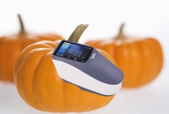 分光測色儀檢測南瓜果皮和果肉顏色