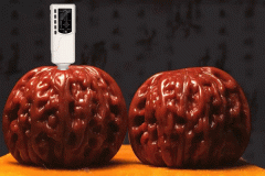 色差儀評定文玩核桃顏色的品質(zhì)