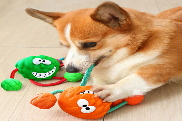 寵物玩具的顏色